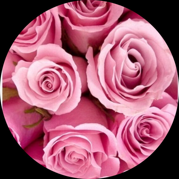 petal111
